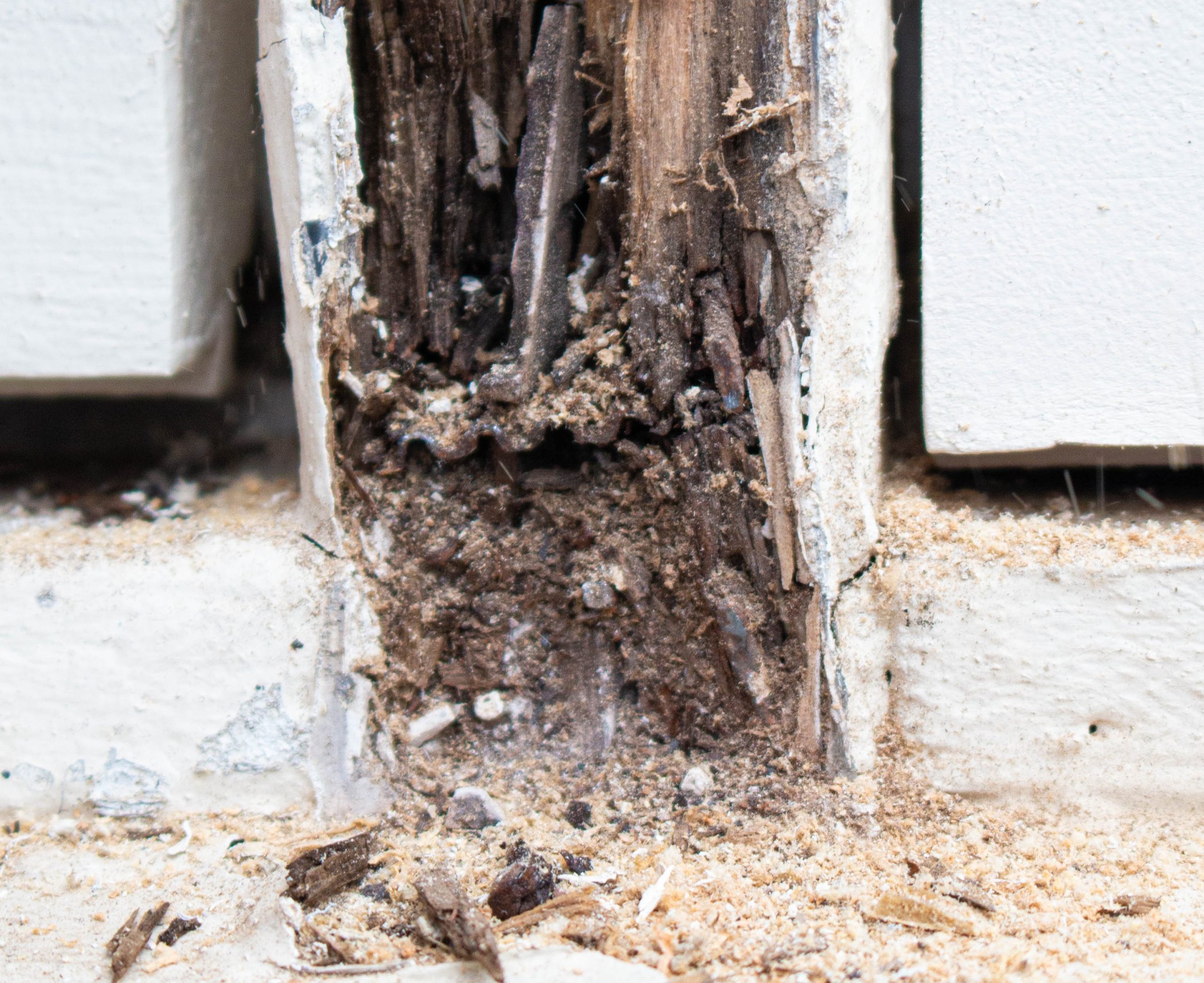 Wood Frame Restoration Experts in Rockford, IL Rotten window frame repair in Rockford, IL