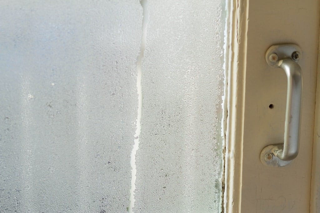 Should I Repair or Replace Windows in My Home? Apex Window Werks