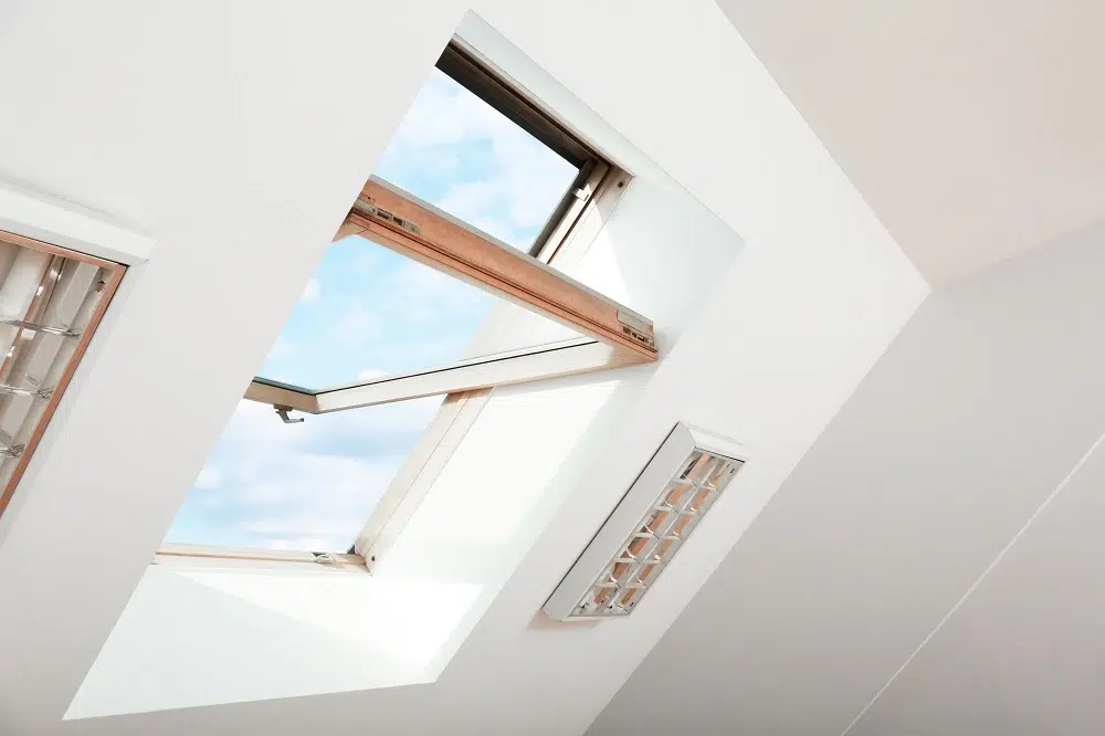 Skylight Windows