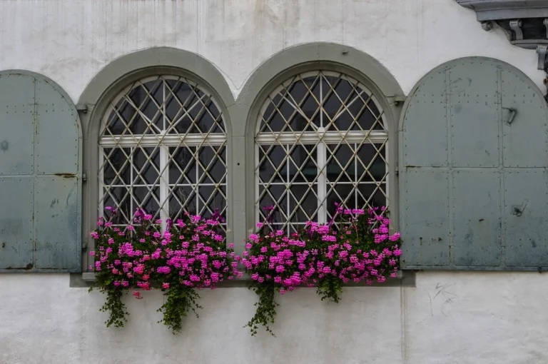 custom-circular-windows