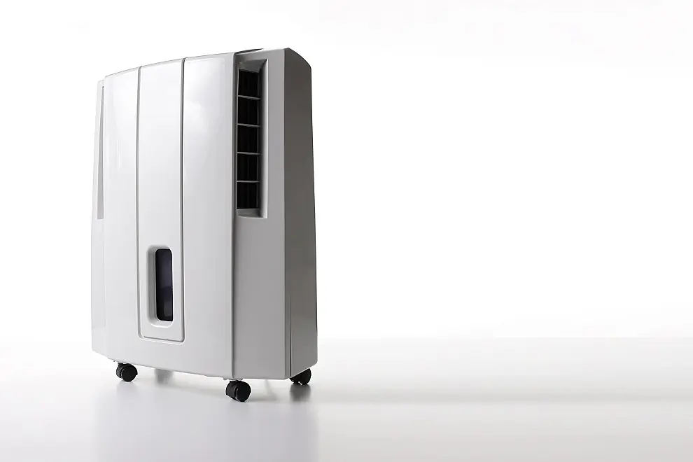 Utilize Dehumidifiers