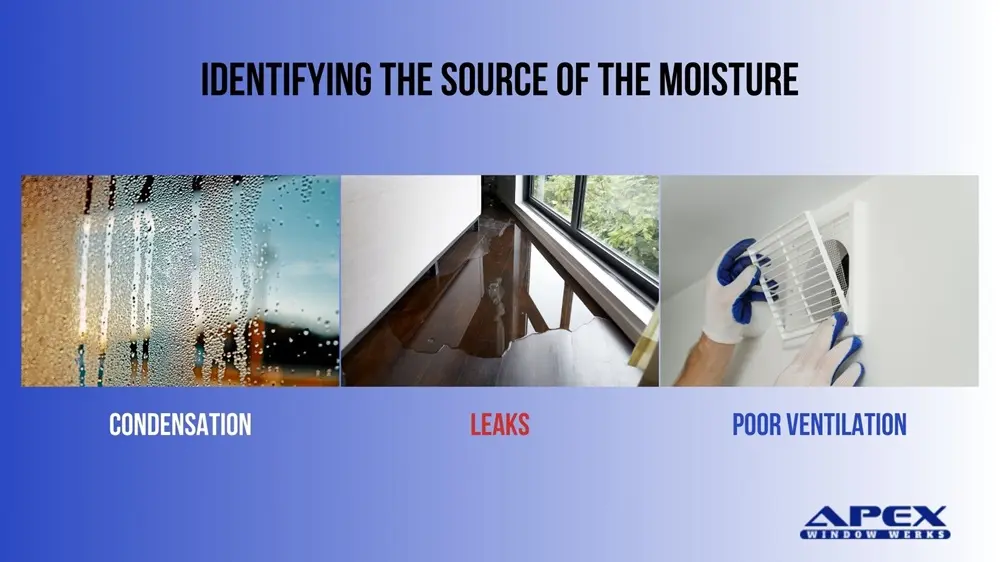 Identifying the Source of the Moisture