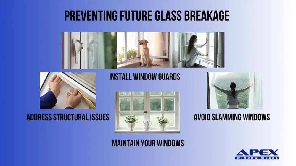 Preventing Future Glass Breakage