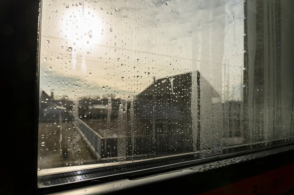 How to Repair Window Seals: A Comprehensive Guide