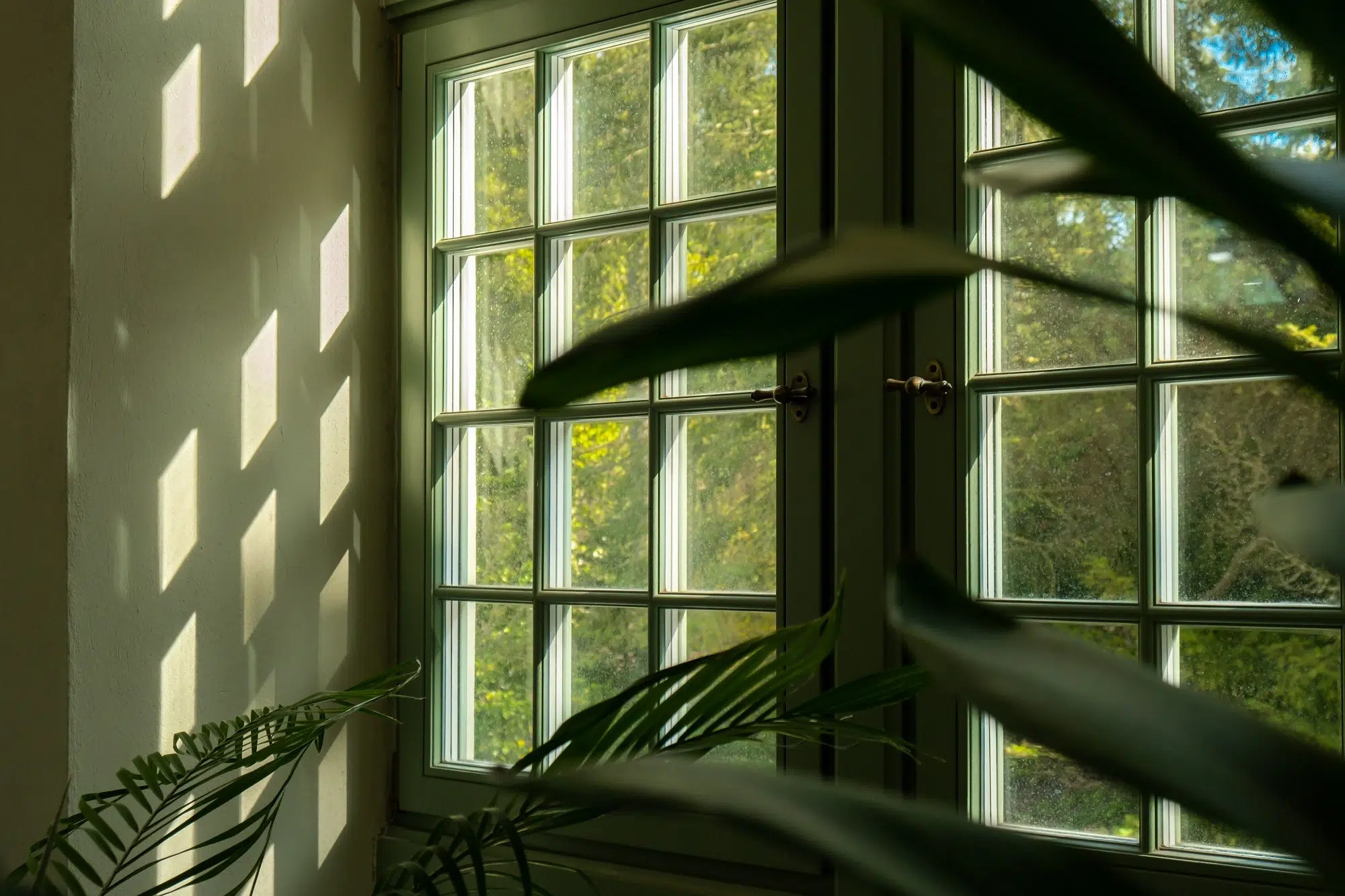 Common Window Problems & How to Solve Them