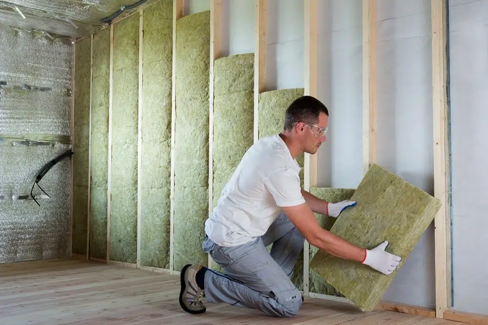 Wall and Ceiling Insulation